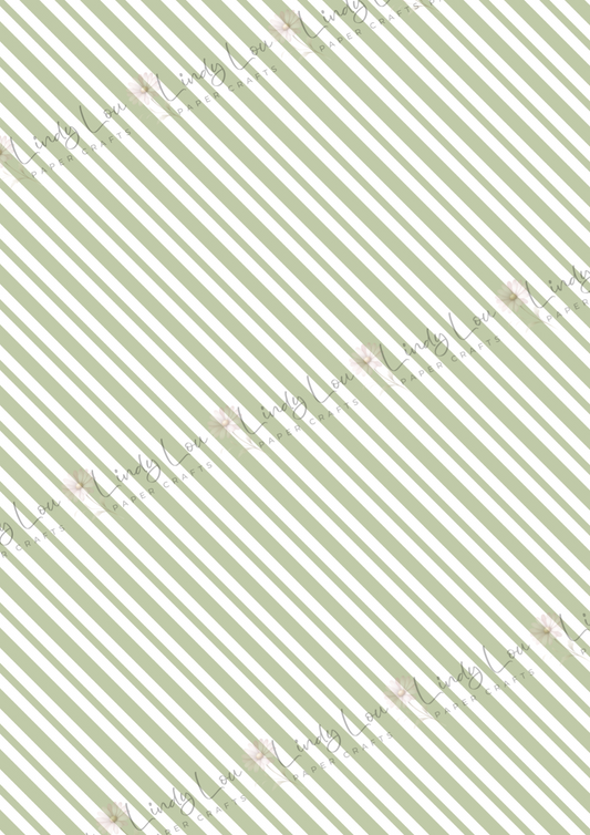 A4 Single Sheet - Dino Saurus - Diagonal Stripe