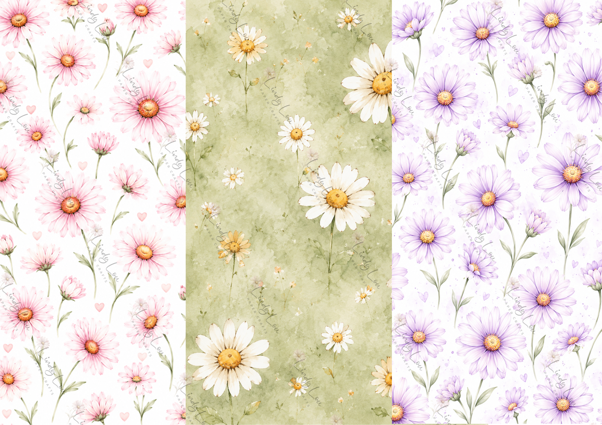 A4 Paper Collection - Daisy Girls