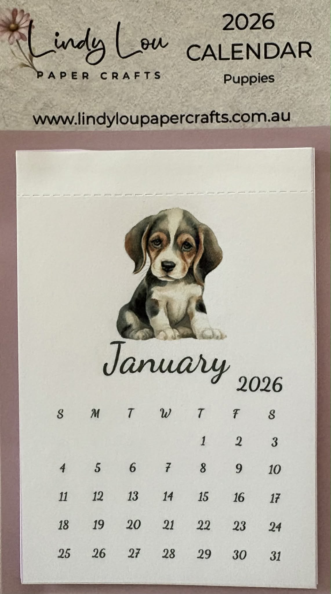 Calendars 2026 Puppies