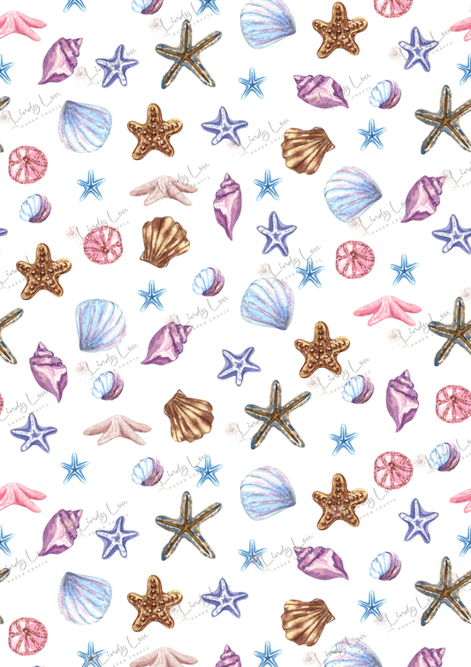 A4 Single Sheet - Beach Day Buddies -  Seaside Shells