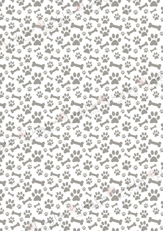 A4 Single Sheet - Paws & Whiskers - Paws & Bones