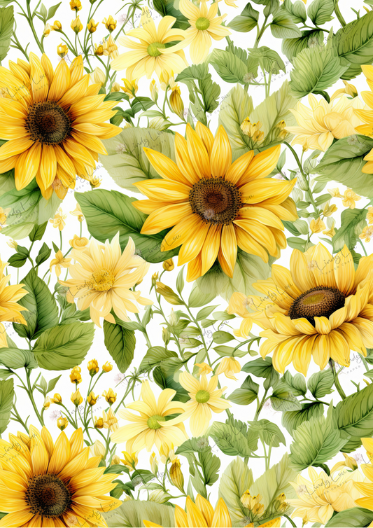 A4 Single Sheet - Sunshine & Moo - Moo Bloom