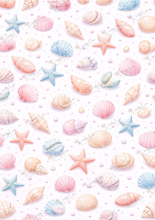 A4 Single Sheet - Bonnet Bay Parade - Seashell Scatter