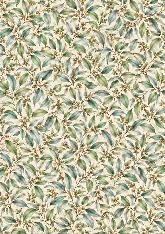 A4 Single Sheet - Native Whispers - Eucalyptus Grove