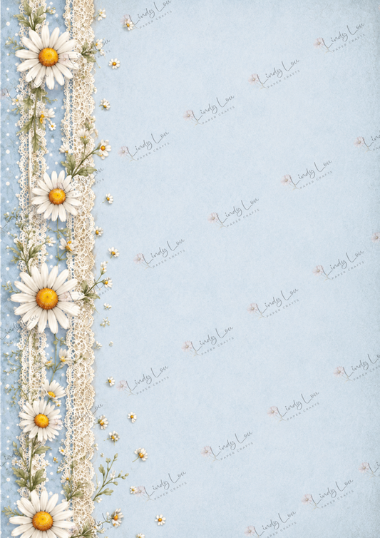 A4 Single Sheet - Daisy Girls - Daisy Lace Blue