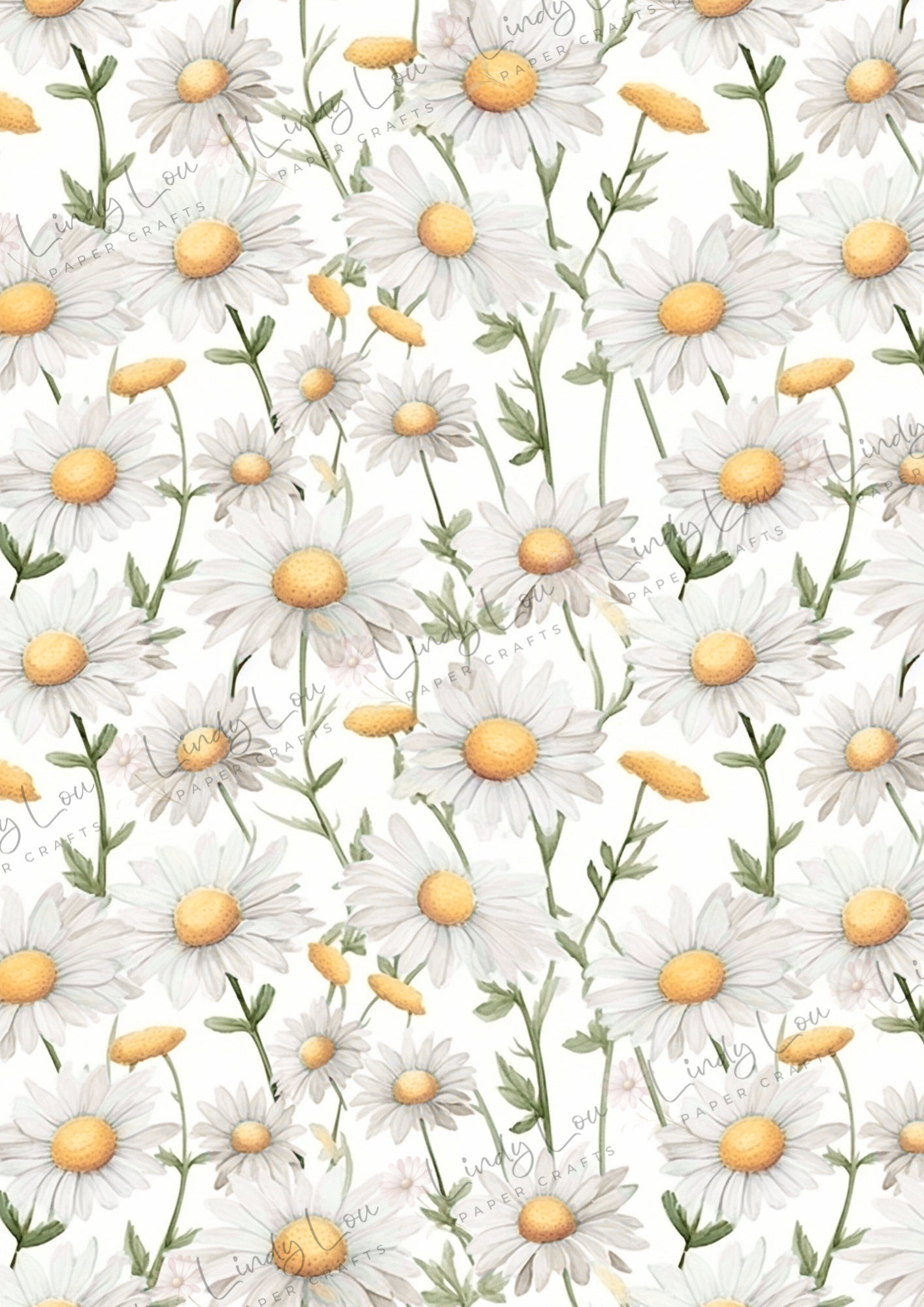 A4 Single Sheet - Daisy Girls - Field of Daisies