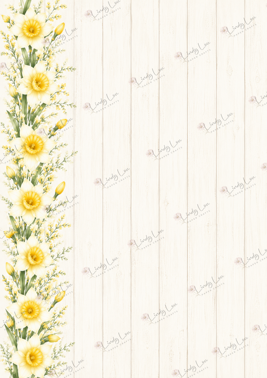 A4 Single Sheet - Mum's Daffodils - Garden Trail