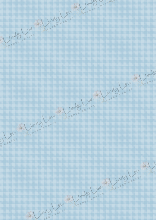 A4 Single Sheet - Giddy up Cowboy - Cowpoke Gingham (no image)