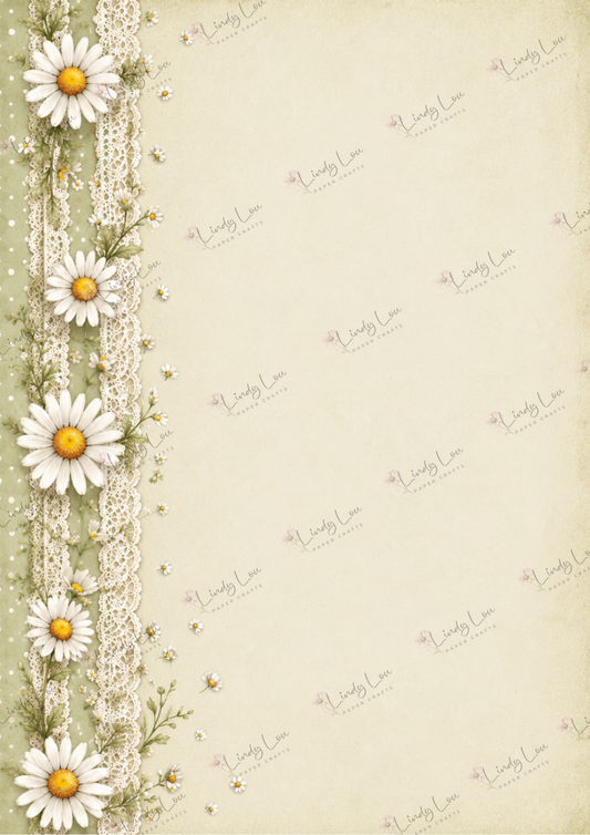 A4 Single Sheet - Daisy Girls - Daisy Lace Olive