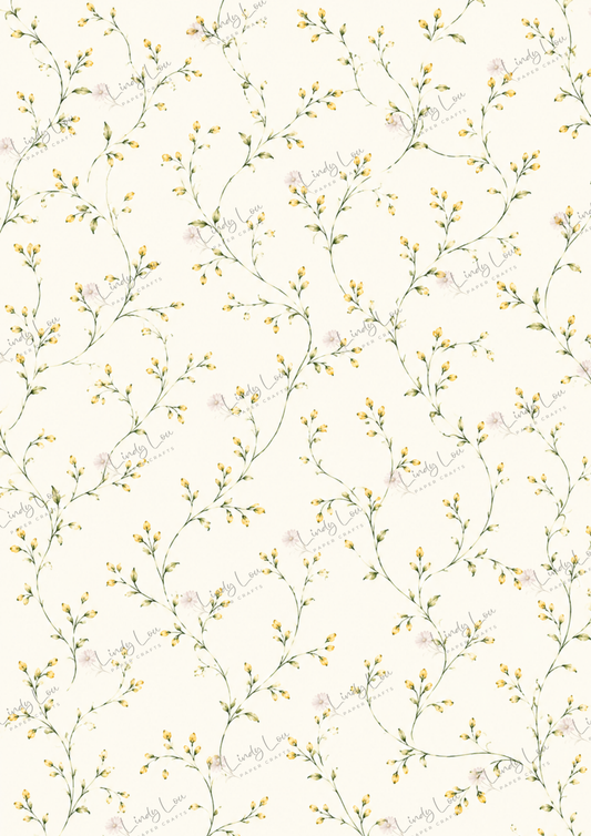 A4 Single Sheet - Mum's Daffodils - Golden Buts