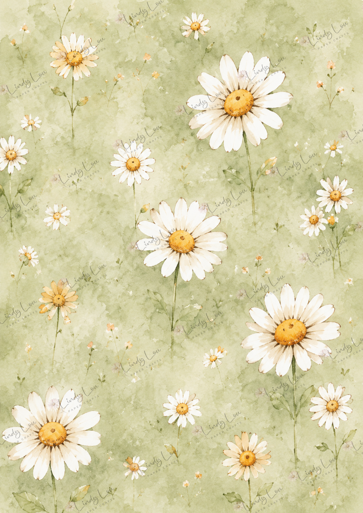 A4 Single Sheet - Daisy Girls - Field of Daisies