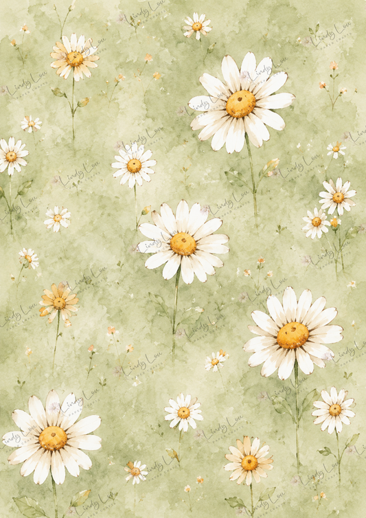 A4 Single Sheet - Daisy Girls - Field of Daisies