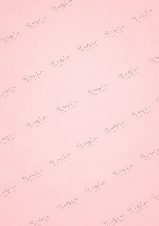 A4 Single Sheet - Bonnet Bay Parade - Soft Coral Kiss