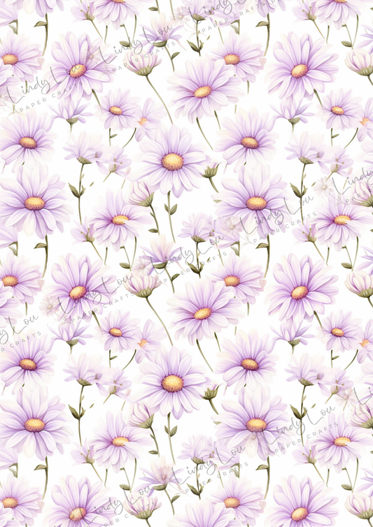 A4 Single Sheet - Daisy Girls - Lavender Meadow