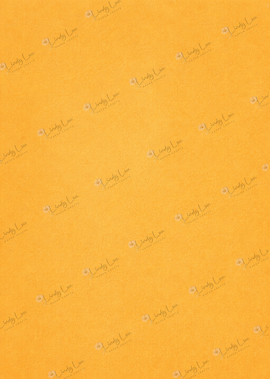 A4 Single Sheet - Surf's Up - Sunset Point