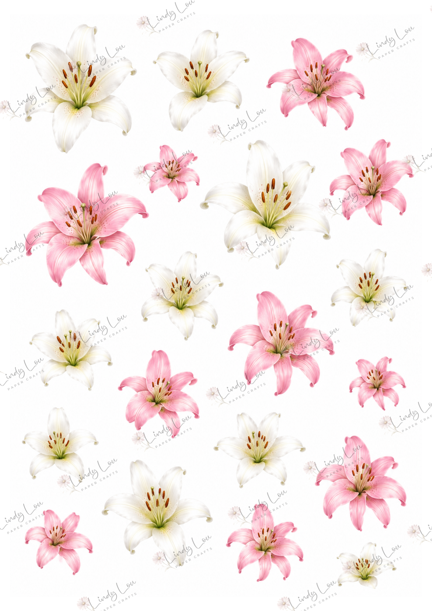 A6 Card Collection - Lily's Cottage