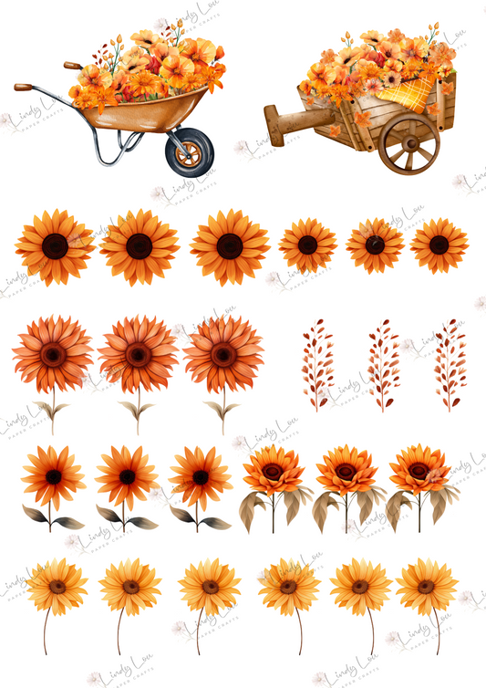 A4 Fussy Cut Sheets  - Amber Afternoon - Amber Bloom