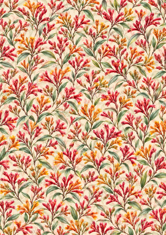 A4 Single Sheet - Native Whispers - Kangaroo Paw Meadow
