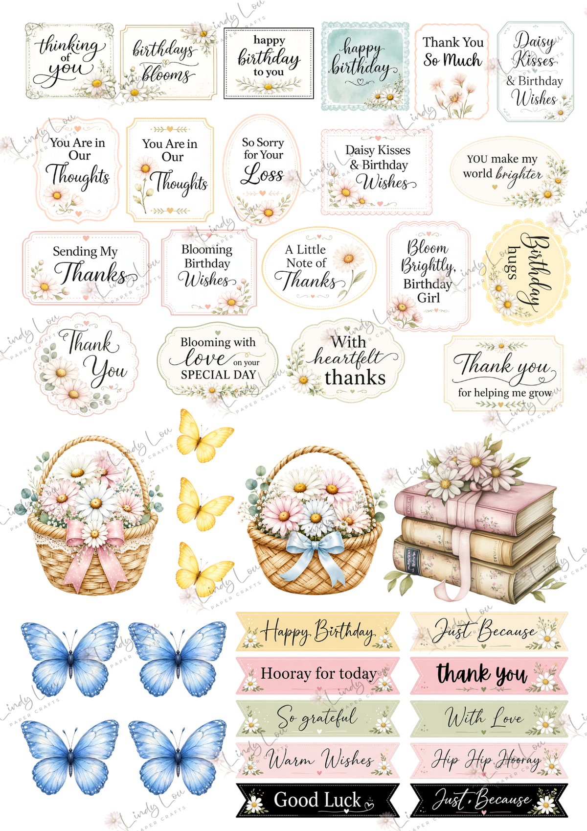 A6 Card Colllection - Daisy Whispers