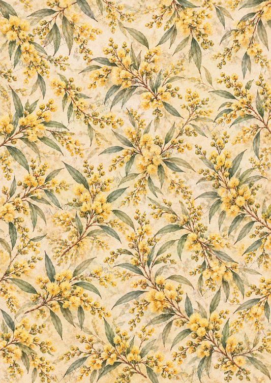 A4 Single Sheet - Native Whispers - Golden Wattle
