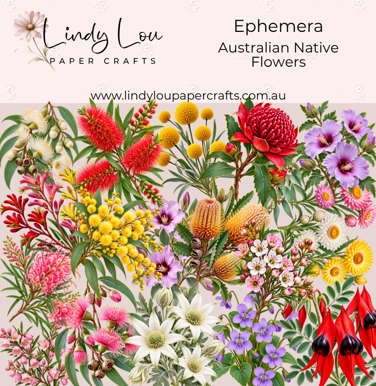 Ephemera: - Australian Native Flowers