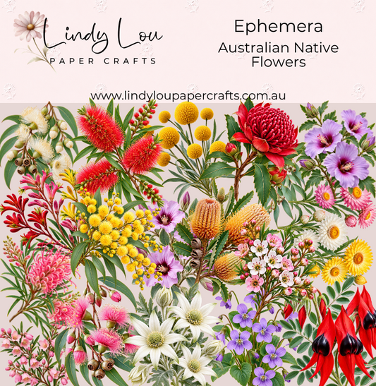 Ephemera: - Australian Native Flowers