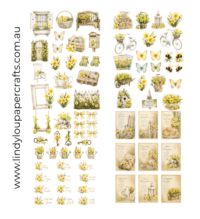 Ephemera: Mum's Daffodils